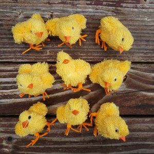 (9) Little Chicks Home Decoration - Easter and Spring